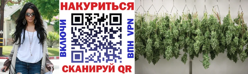 Бошки Шишки план  где купить наркоту  Брянск 